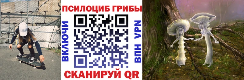 Псилоцибиновые грибы Psilocybine cubensis маркетплейс наркотические препараты Краснокаменск