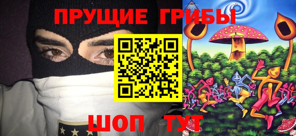Краснокаменск  Псилоцибиновые грибы Magic Shrooms  Галлюциногенные грибы GOLDEN TEACHER  купить наркотик  Вход с VPN 