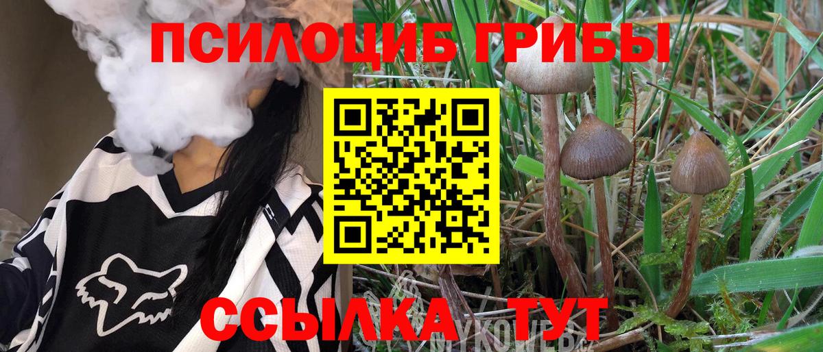 Псилоцибиновые грибы мицелий Краснокаменск